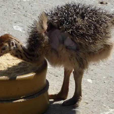 Agnes Casa vacanze Ramberg